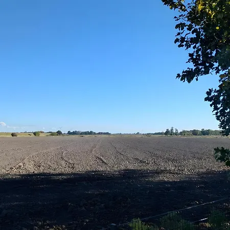 Wiet Land *