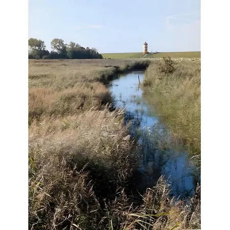 Wiet Land